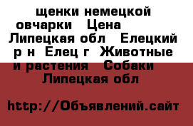 щенки немецкой овчарки › Цена ­ 5 000 - Липецкая обл., Елецкий р-н, Елец г. Животные и растения » Собаки   . Липецкая обл.